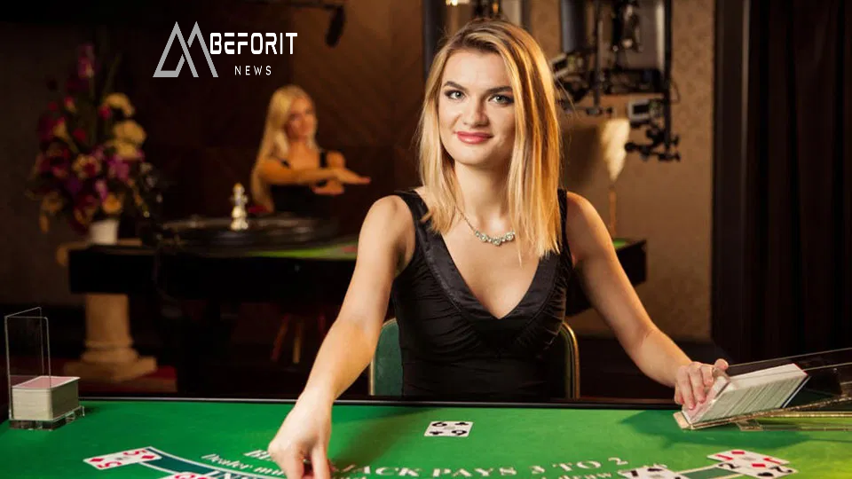 Evolution Official Website: The Pinnacle of Live Casino Entertainment Evolution
